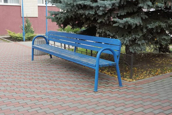 Banco Madeira Azul Vazio Fica Calçada Parque Perto Abeto Verde — Fotografia de Stock