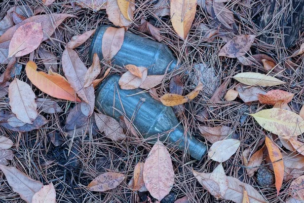 Skräp Från Två Grå Glasflaskor Brun Torr Vegetation Natur — Stockfoto