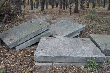 Eski gri kare beton levhalar kahverengi kuru çimenler ve açık havada düşen yapraklar.