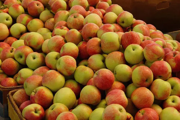 Natürliche Pflanzenstruktur Aus Einem Haufen Reifer Rot Grüner Äpfel Einer — Stockfoto