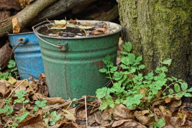 Kahverengi yaprakların arasında duran eski, kirli bir metal kova.