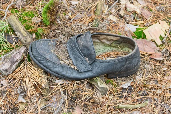 Lixo Uma Velha Bota Couro Rasgado Preto Encontra Agulhas Secas — Fotografia de Stock