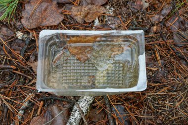 Boş beyaz plastik bir kutudan çıkan çöpler kuru kahverengi iğnelerin ve yaprakların üzerinde duruyor.