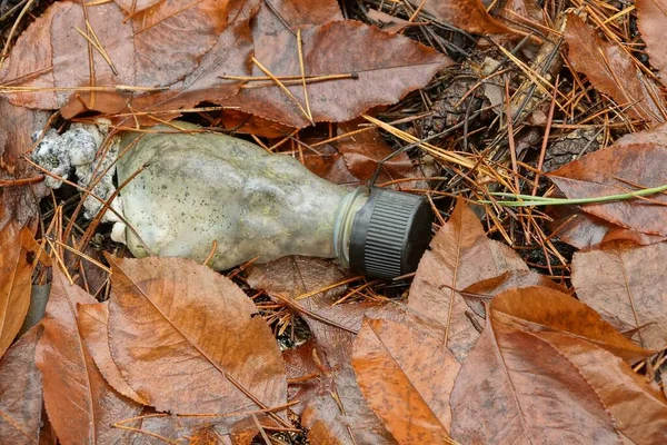 Basura Una Botella Plástico Gris Vacío Encuentra Hojas Marrones Naturaleza —  Fotos de Stock