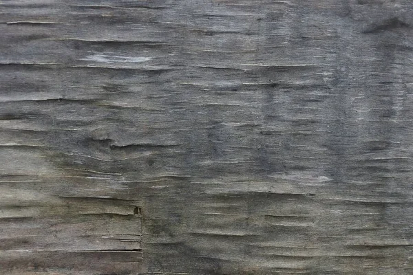 gray wood texture from old dirty plywood in a wall with cracks