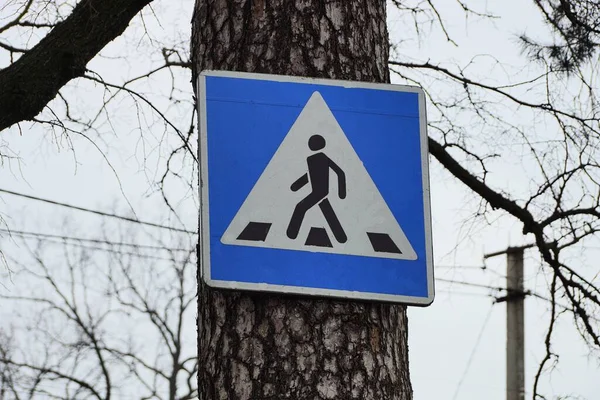 通りにある灰色の松の木の上に一本の正方形の横断歩道標識が — ストック写真