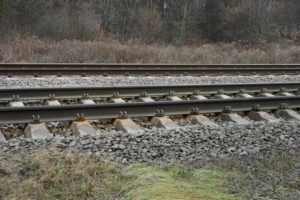Ferrocarril Con Riel Hierro Traviesas Hormigón Pequeños Escombros Grises Hierba — Foto de Stock