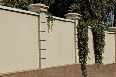 Gri kahverengi çit duvarının bir kısmı yeşil bitkilerle kaplı.