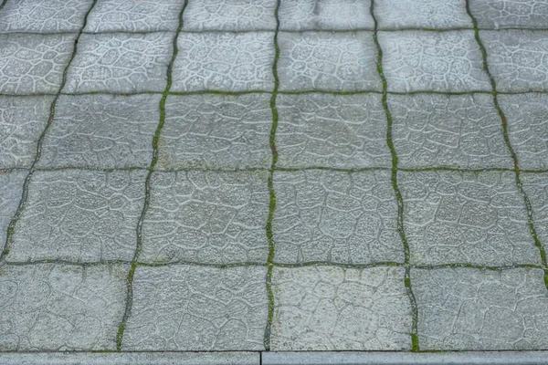 part of the sidewalk on the street with square wet  stone gray tiles on the road