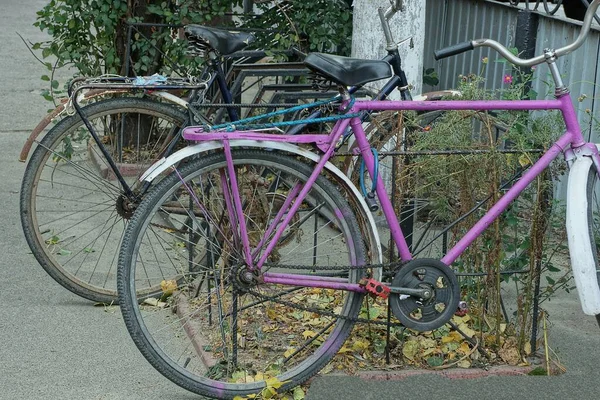 Dos Bicicletas Viejas Paradas Una Calle Rural Asfalto Gris —  Fotos de Stock