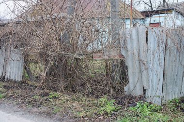 Gri ahşap tahtalardan yapılmış eski kırsal çitin bir parçası ve sokağın üzerinde kuru çalı dallarıyla kaplanmış tahta parçaları.