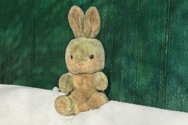 Eski pelüş bir oyuncak tavşan, beyaz bir kar yığınının üzerinde oturuyor. Kış sokağındaki yeşil ahşap duvarın yanında.