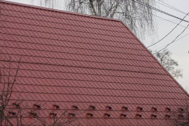 Gri gökyüzü ve ağaç dallarının arka planında kırmızı kiremitleri olan bir binanın çatısında.