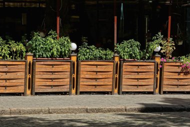 Bir sıra kahverengi kare ahşap saksılar yeşil dekoratif bitki örtüsü şehir caddesindeki gri kaldırımda asfalt bir yolda duruyor.