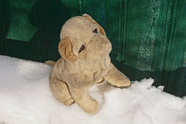 Yaşlı pelüş oyuncak bir köpek beyaz bir kar yığınının üzerinde, bir kış sokağındaki yeşil ahşap duvarın yanında.