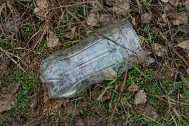 Boş plastik şişedeki bir parçanın çöpü yeşil çimenler ve kuru yaprakların üzerinde yatıyor.