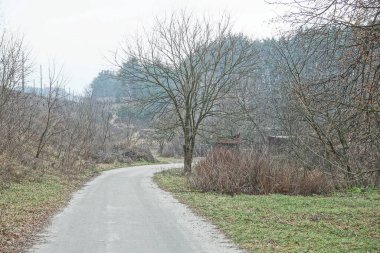 # Uzun asfalt yolu # # Gri bir ağaç boyunca # # Kuru çalılar ve yeşil çimenler # # Bir sonbahar günü #