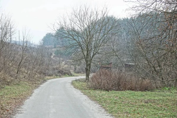 # Uzun asfalt yolu # # Gri bir ağaç boyunca # # Kuru çalılar ve yeşil çimenler # # Bir sonbahar günü #