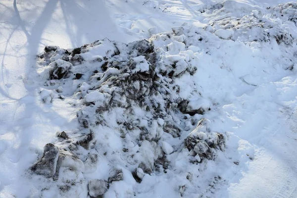 Snowdrift Large Pile White Snow Black Mud Winter Street — Foto de Stock