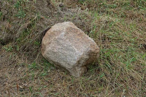 One Large Brown Stone Lies Green Gray Dry Grass Park — Stock Fotó