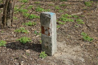 Eski bir gri beton zemin zemin üzerinde duruyor Sokaktaki yeşil bitki örtüsünün arasında