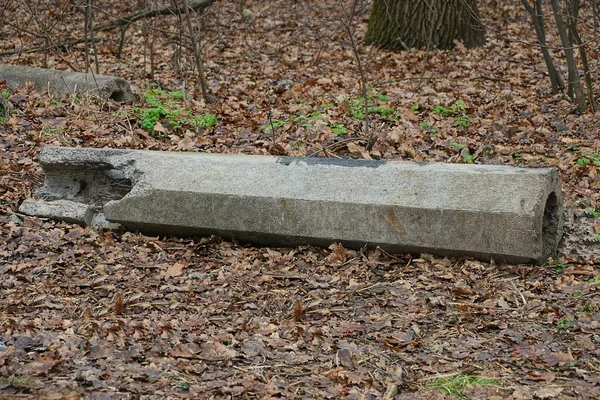 Bir Parça Gri Beton Sütun Dışarıdaki Kahverengi Yaprakların Içinde Yatıyor — Stok fotoğraf