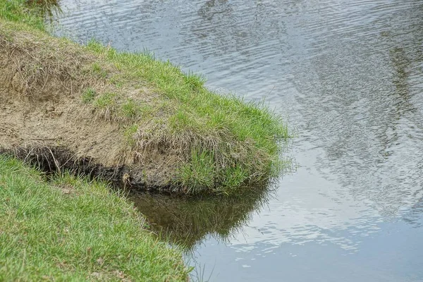 Partie Plage Sable Dans Herbe Verte Dans Les Eaux Grises — Photo