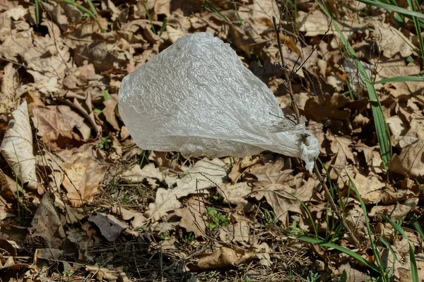 Basura Una Bolsa Plástico Blanco Una Rama Sobre Hojas Secas —  Fotos de Stock