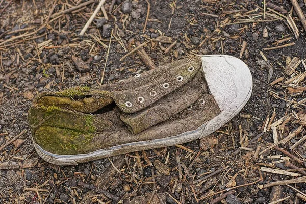 garbage from one old dirty brown sneaker with white soles stands on the ground in nature