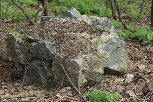 part of an old gray ruined foundation of stones in concrete among green vegetation on the street
