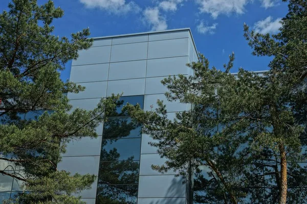 緑の松の木の後ろの空に長い窓のある大きな建物の灰色の金属屋根裏部屋 — ストック写真