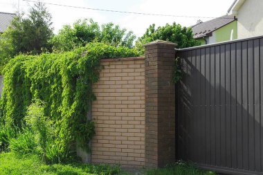 Yeşil bitki örtüsüyle kaplı çitin kahverengi tuğla duvarı ve caddedeki metal kapının bir kısmı.