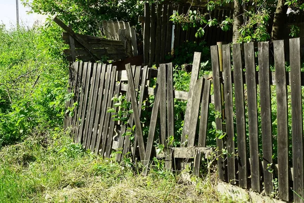 Część Starego Szarego Drewnianego Ogrodzenia Połamanymi Deskami Porośniętymi Zieloną Roślinnością — Zdjęcie stockowe