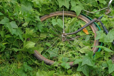 Parktaki çimlerin üzerinde örgü iğneleri olan eski bir bisiklet tekerleğinin parçası.