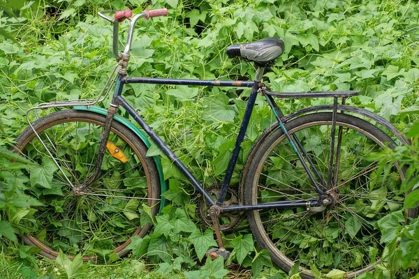 緑の芝生の上には古い黒いレトロな自転車が立っていて — ストック写真