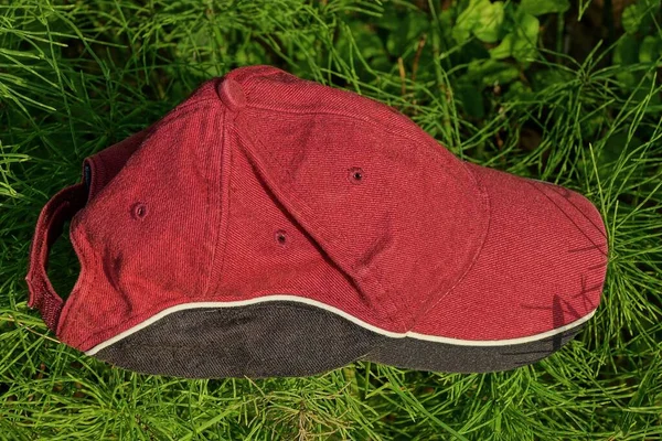one red black cap lies on green vegetation in the grass in nature