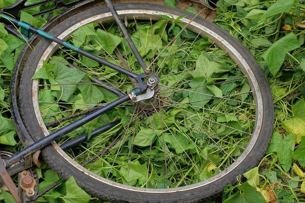 一辆复古自行车上的一个古老的灰色后轮躺在青草和植被中 — 图库照片