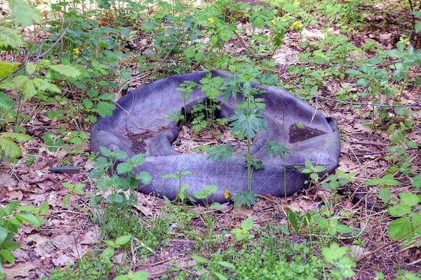 Basura Una Cámara Coche Desgarrado Negro Verde Hierba Gris Naturaleza — Foto de Stock