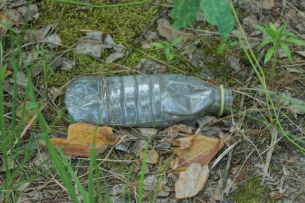 Boş Bir Gri Plastik Şişenin Çöpü Ormandaki Yeşil Yosunların Üzerinde — Stok fotoğraf