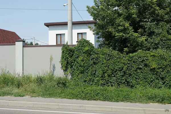 街道上长满了绿色植被和青草的灰色混凝土墙围栏 — 图库照片
