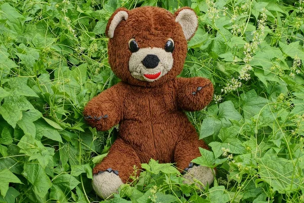 Один Большой Плюшевый Плюшевый Плюшевый Медведь Стоит Зеленой Растительности Листьями — стоковое фото