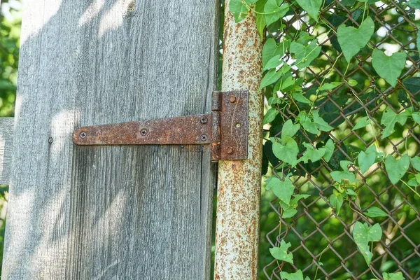 Uma Dobradiça Porta Ferro Marrom Tubo Metal Uma Placa Porta — Fotografia de Stock