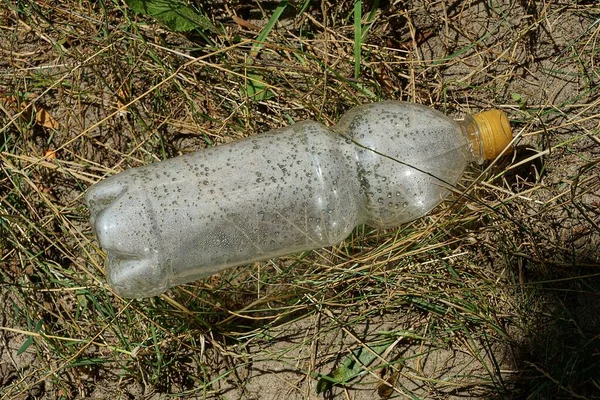 Basura Una Gran Botella Plástico Blanco Encuentra Hierba Seca Gris —  Fotos de Stock