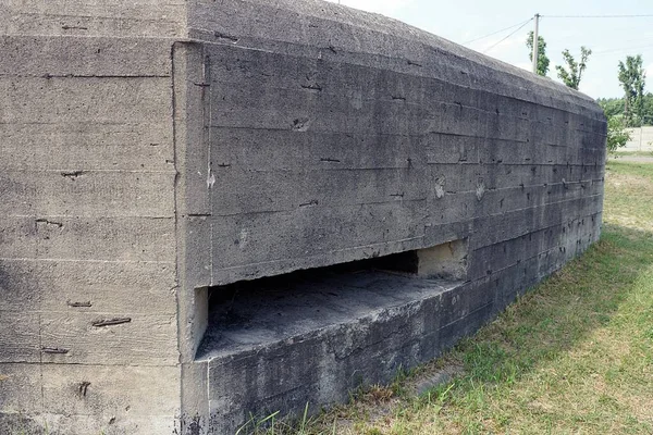 Gri Eski Betondan Bir Sığınağın Duvarında Embriyo Var — Stok fotoğraf