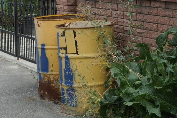 Две Старые Желтые Металлические Бочки Стоят Снаружи Зеленой Растительности Фоне — стоковое фото