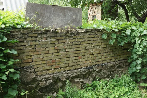 Viejo Ladrillo Marrón Viejo Muro Valla Cubierto Hierba Verde Vegetación — Foto de Stock