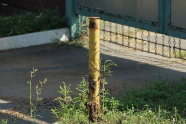 Kahverengi paslı bir sarı sınırlayıcı metal direk dışarıda yeşil çimlerde duruyor.