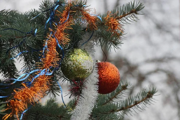 Boules Noël Colorées Guirlandes Sur Les Branches Pin Vert Dans — Photo