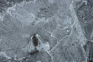 Gri buz dokusu, beyaz desenli caddedeki su birikintisi.