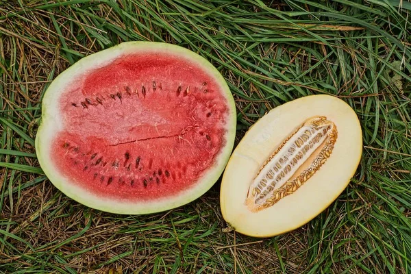 Dos Trozos Fruta Fresca Madura Sandía Roja Melón Amarillo Yacen — Foto de Stock